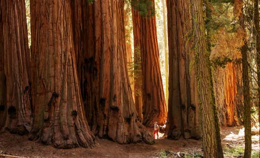 Extraordinary Place Image