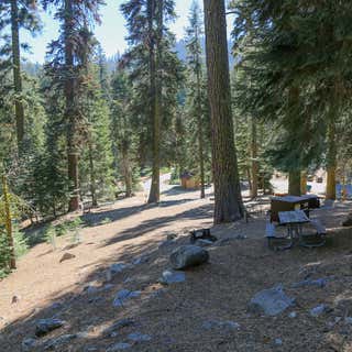 Dorst Creek Campground