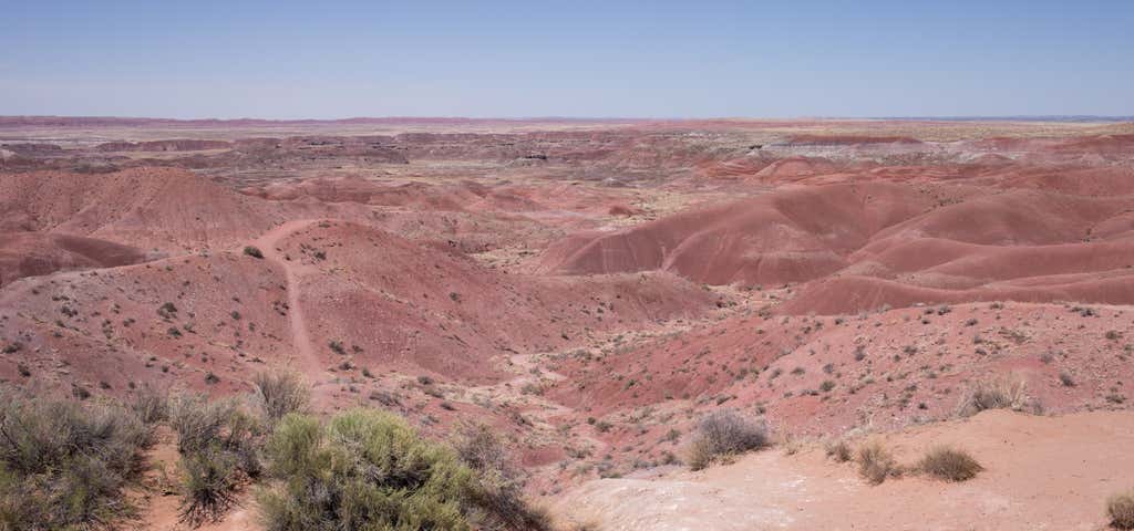 Photo of Petrified Forest National Park