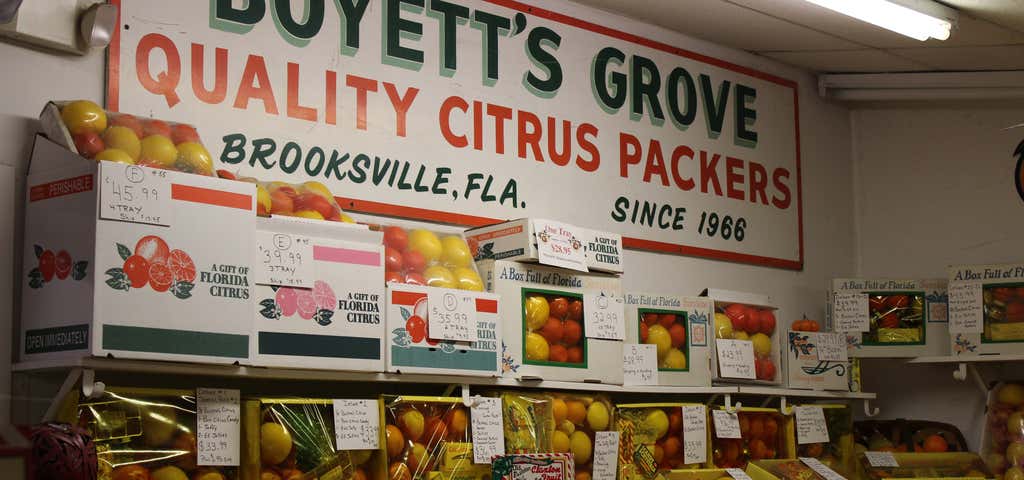 Photo of Boyett's Grove And Citrus Attraction