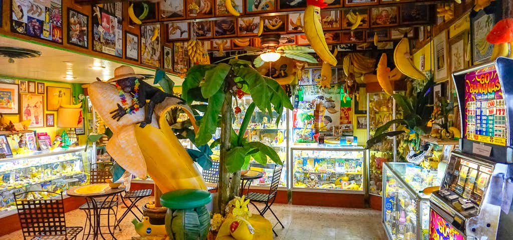 Photo of International Banana Museum