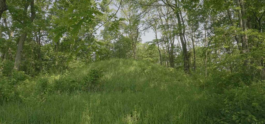 Photo of Albany Mounds State Historic Site