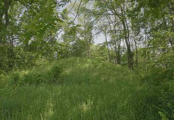 Photo of Albany Mounds State Historic Site