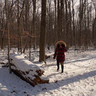 Goll Woods State Nature Preserve