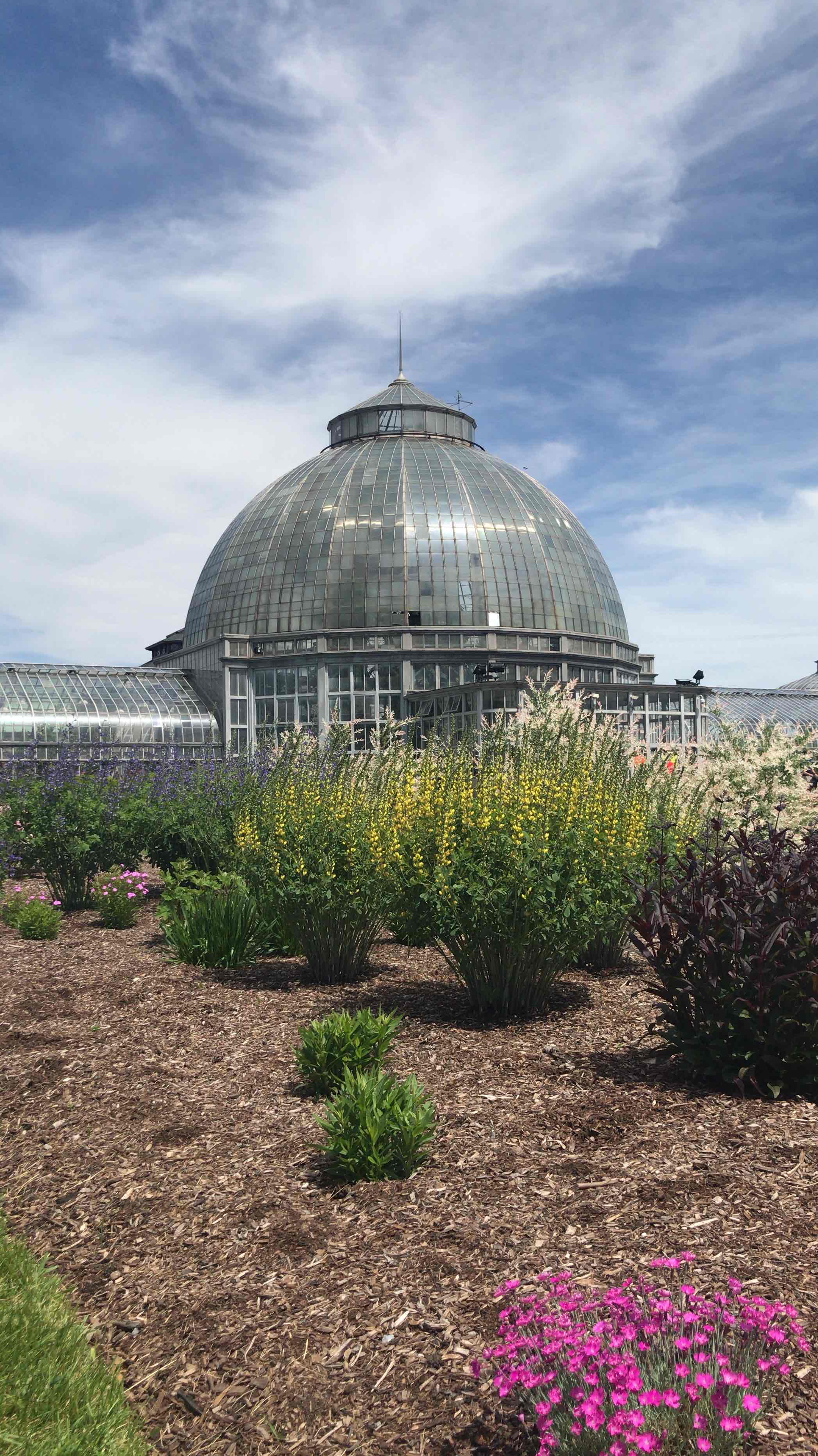Belle Isle Conservancy