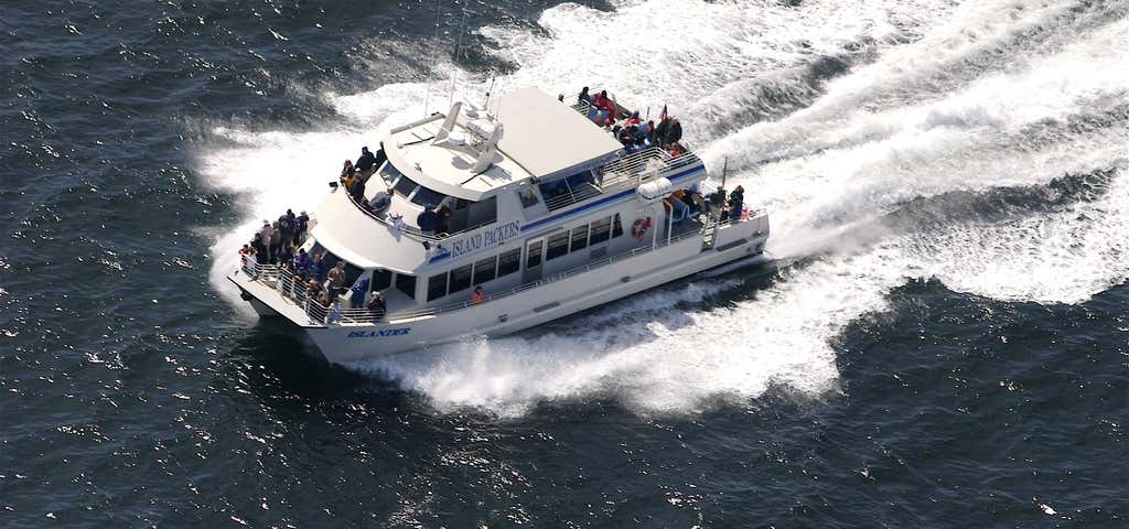 Photo of Island Packers Cruisers