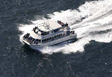 Photo of Island Packers Cruisers