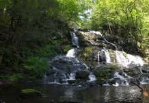 Photo of Hornsbeck Creek Falls
