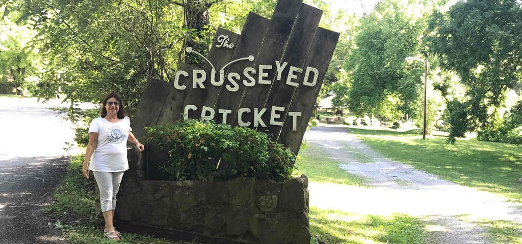 Photo of The Crosseyed Cricket