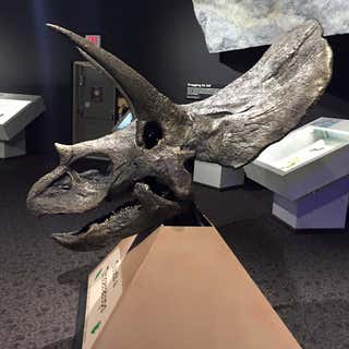 Mesalands Dinosaur Museum and Natural Sciences Laboratory