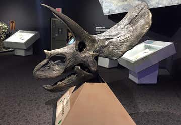 Photo of Mesalands Dinosaur Museum