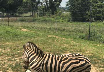 Photo of Safari Park