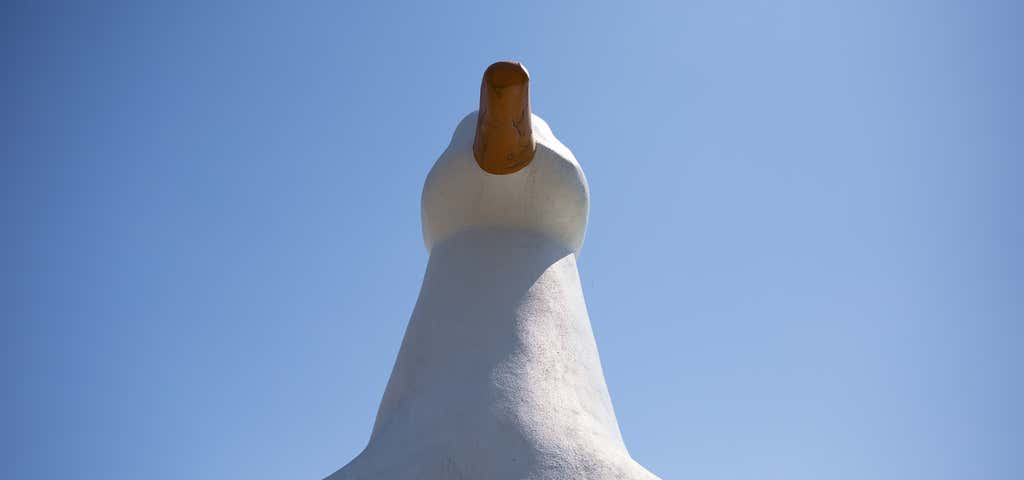 Photo of Big Duck