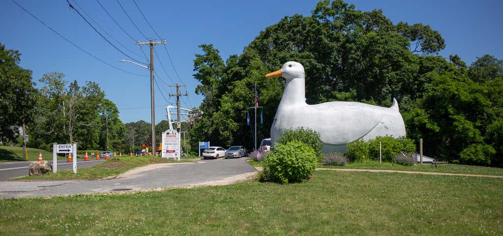 Photo of Big Duck