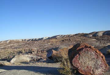 Photo of Crystal Forest - Petrified Forest NP