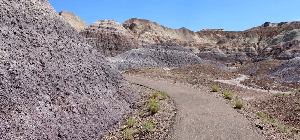 Photo of Blue Mesa Trail