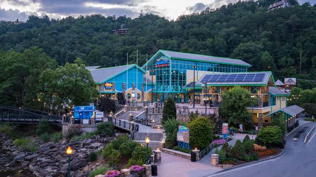 Ripley S Aquarium Of The Smokies Gatlinburg Tn Roadtrippers