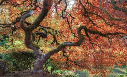 Extraordinary Place Image