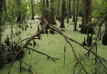 Photo of Jean Lafitte National Historical Park And Preserve