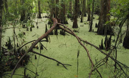 Extraordinary Place Image