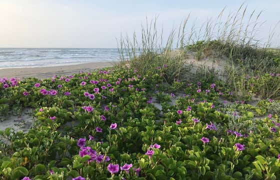 The Best Beachside Campsites In The Country Roadtrippers