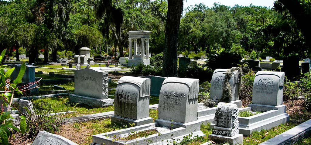 Photo of Bonaventure Cemetery