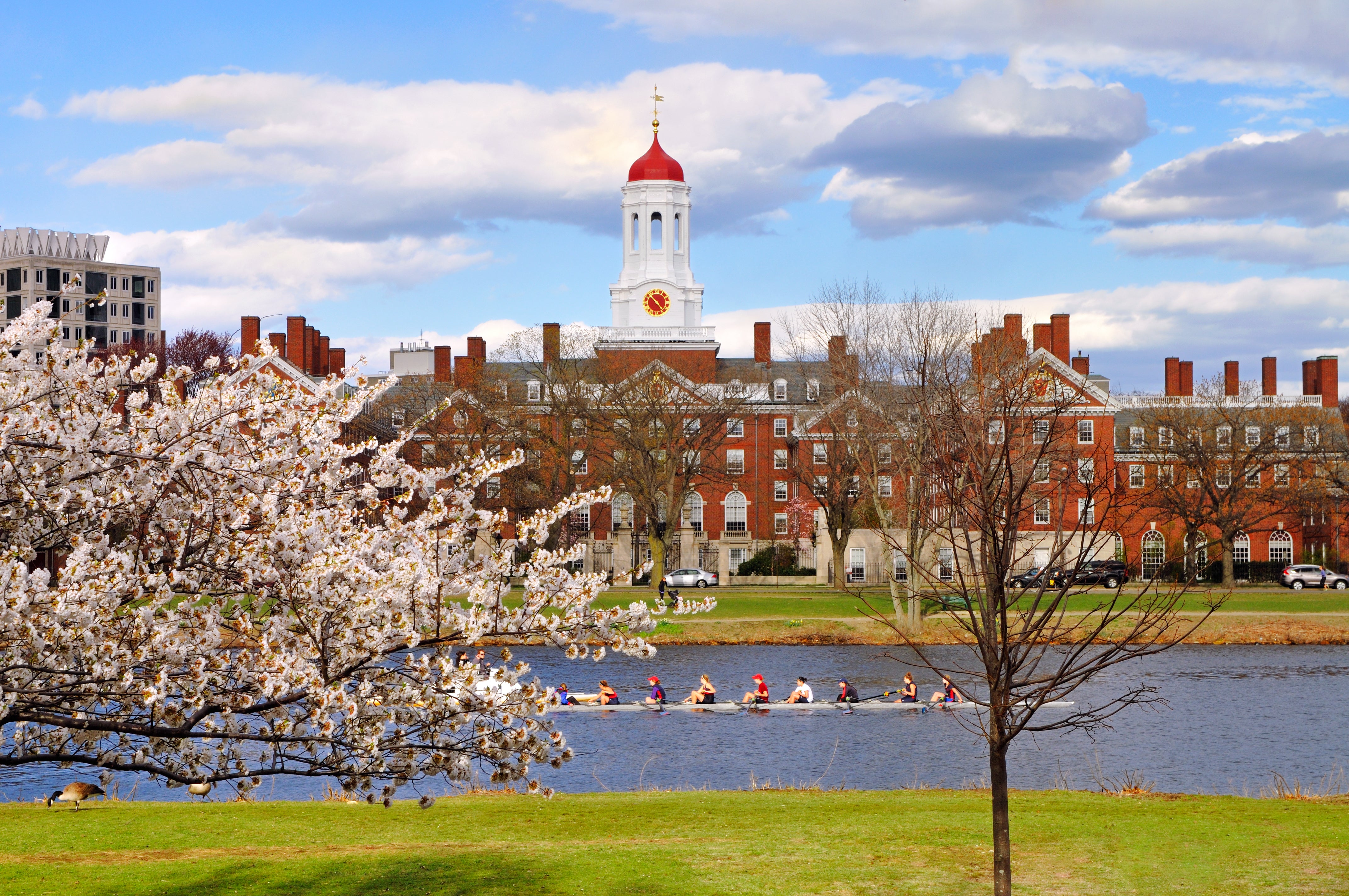 Harvard University