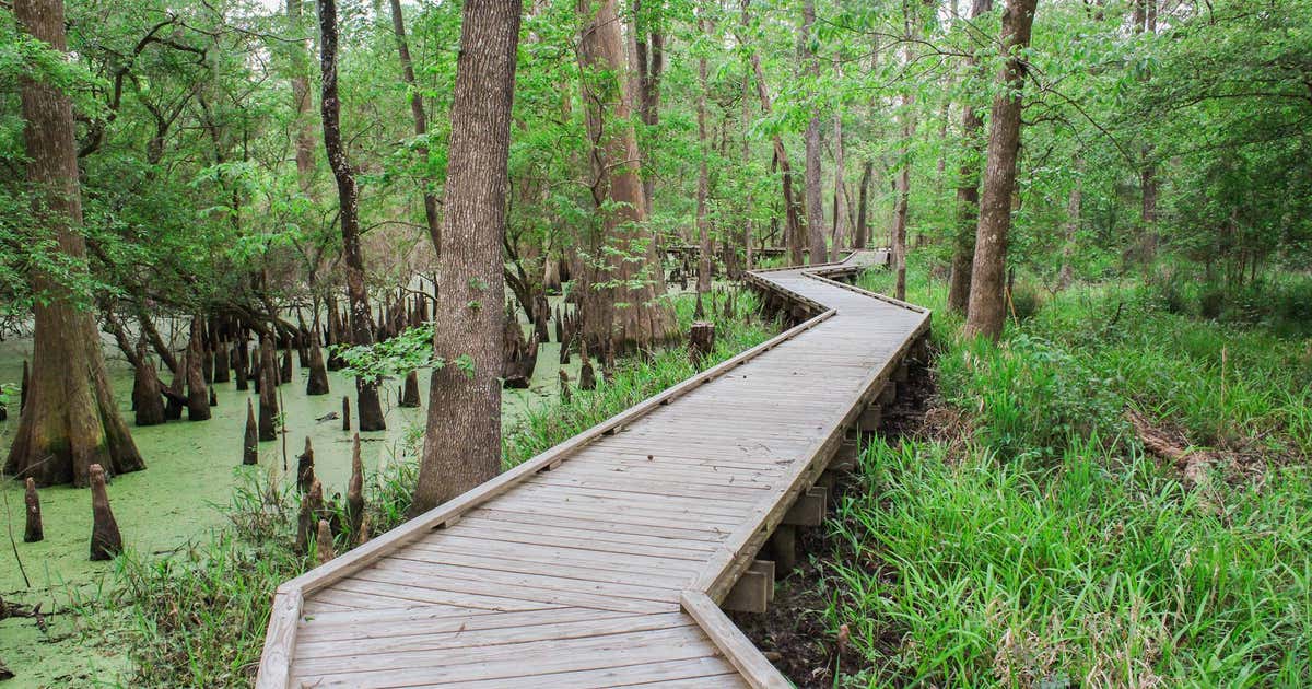 Jesse H. Jones Park and Nature Center, Humble Roadtrippers