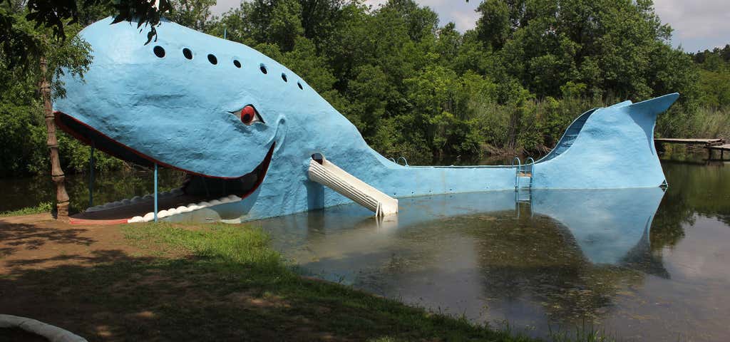 Photo of Blue Whale of Catoosa
