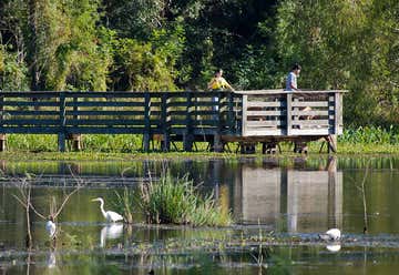 Photo of Brazos Bend State Park