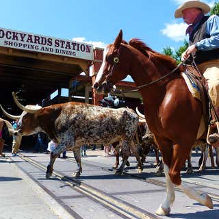 Fort Worth Stockyards National Historic District