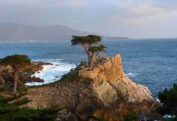 Photo of The Lone Cypress