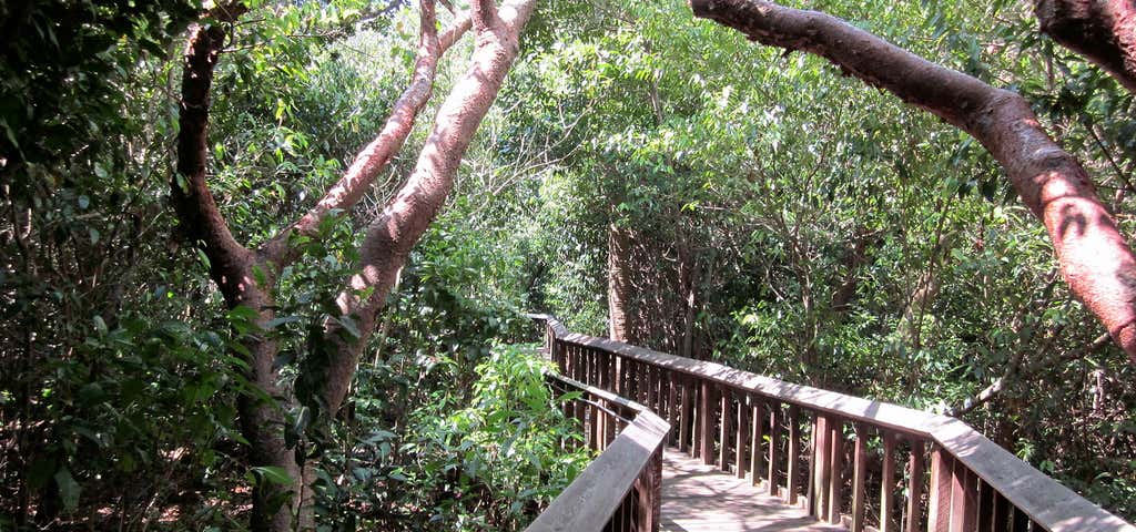 Photo of Gumbo Limbo Nature Center