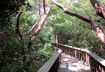 Photo of Gumbo Limbo Nature Center