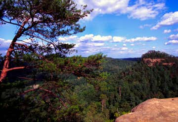 Photo of Natural Bridge State Park