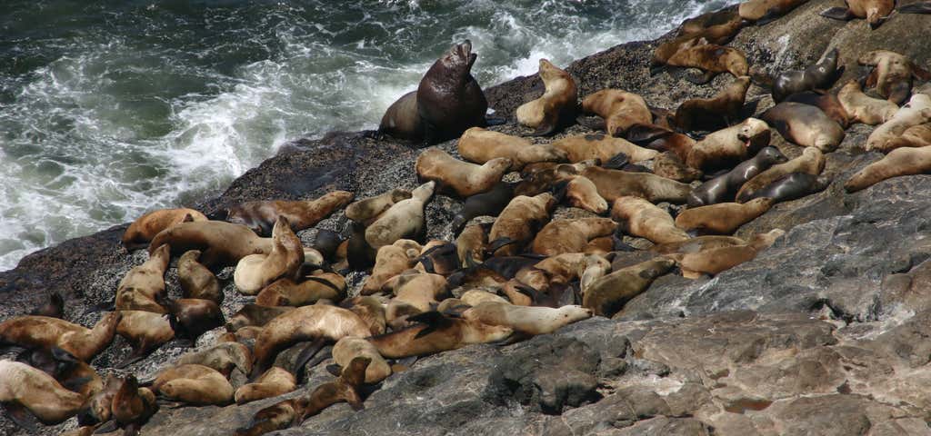 Photo of Sea Lion Caves