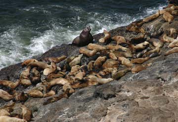 Photo of Sea Lion Caves, Or