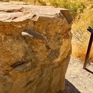 Dinosaur Footprint Parowan Gap