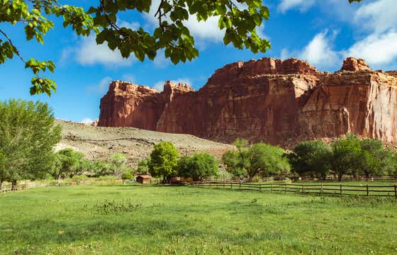 The Ultimate Guide To Capitol Reef National Park Roadtrippers