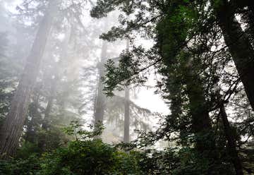 Photo of Redwood National Park