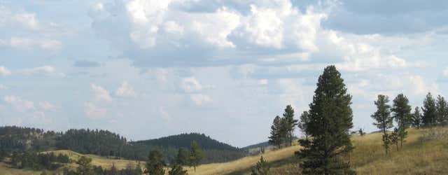 Custer State Park