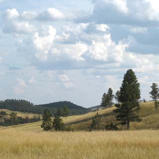 Custer State Park