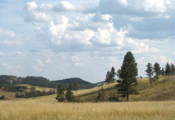 Photo of Custer State Park, 13329 US Highway 16A Custer SD