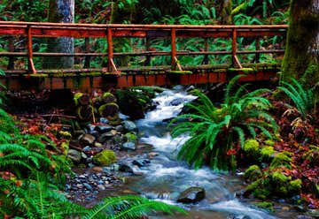 Photo of Dosewallips State Park