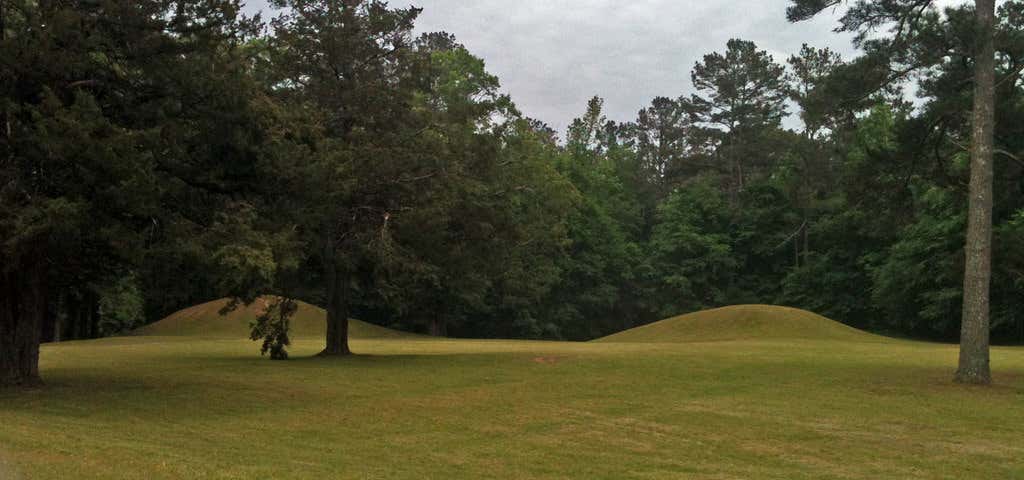 Photo of Bynum Mounds