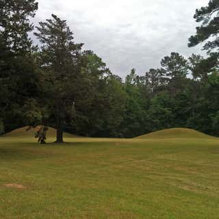 Bynum Mounds