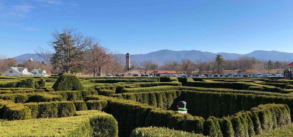 Photo of The Garden Maze