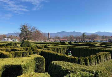 Photo of The Garden Maze