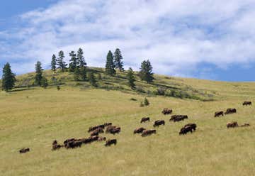 Photo of National Bison Range