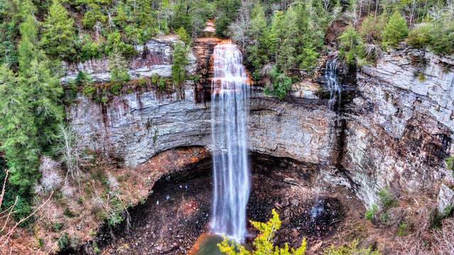 are dogs allowed at fall creek falls state park